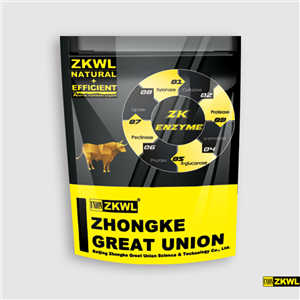 ZK Enzyme